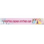 באנר בעיצוב אישי נסיכות דיסני