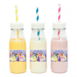 מדבקות מלבניות לעיצוב נסיכות דיסני