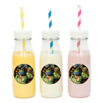 מדבקות עגולות לעיצוב צבי הנינג'ה