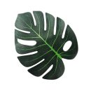 עלים טרופיים לעיצוב - בינוני