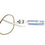 מעיף טיסן - דגל ישראל