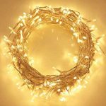 שרשרת LED אור חם