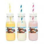 מדבקות מלבניות לעיצוב מפת פיראטים