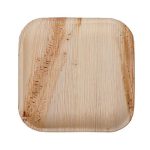 צלחות מרובעות בינוניות מתכלות