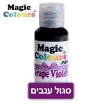 צבע מאכל ג'ל - סגול ענבים