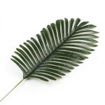 ענף עלה דקל