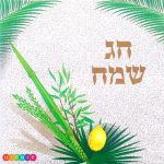 מפיות גדולות - ארבעת המינים