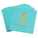 חבילת יום הולדת גיל שנה נסיך 16 מוזמנים