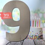 מרכז שולחן ענק כסף - 9