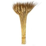 זר שיבולים גדול