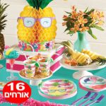 חבילת יום הולדת אננס וחברים 16 מוזמנים