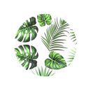 צלחות נייר קטנות עלים טרופיים