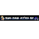 באנר בעיצוב אישי סוניק 2
