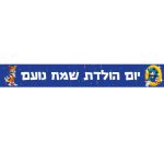באנר בעיצוב אישי סוניק 3