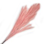 פמפס צבע ורוד לקישוט